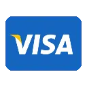 visa logo image